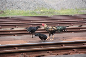 Zug hatte Verspätung